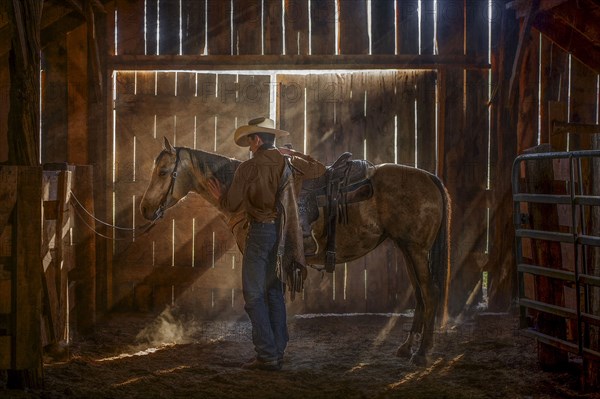 Caucasian man brushing horse in barn