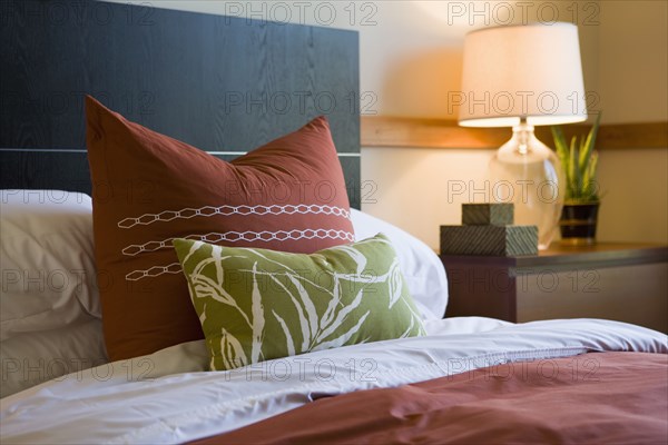 Decorative pillows on contemporary bed