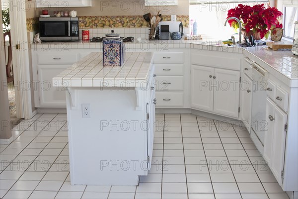 White monochromatic traditional kitchen with island