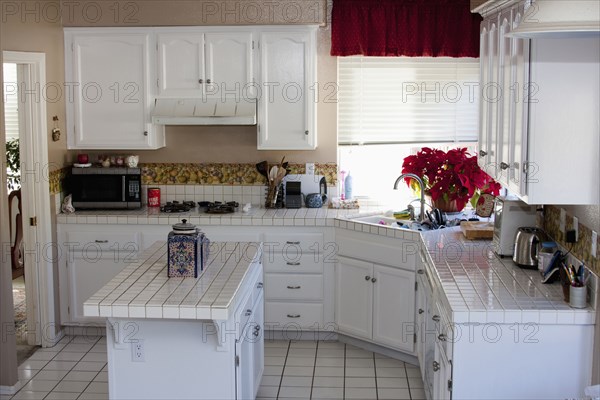 White monochromatic traditional kitchen with island