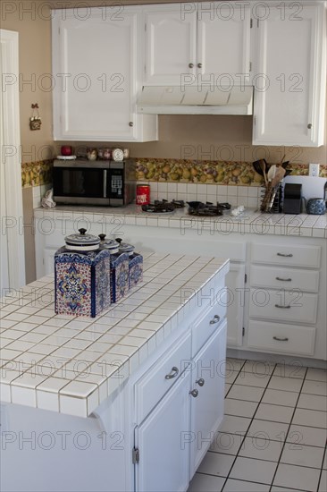 White monochromatic traditional kitchen with island