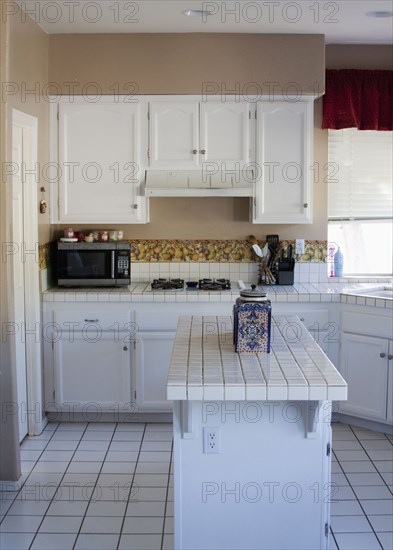 White monochromatic traditional kitchen with island