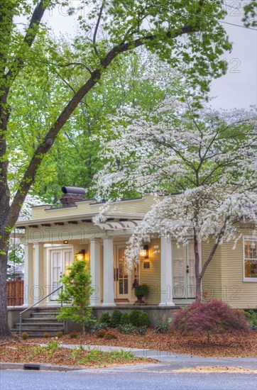 Front exterior California Bungalow and landscaping