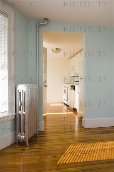 Empty room in apartment with hardwood floor and heater