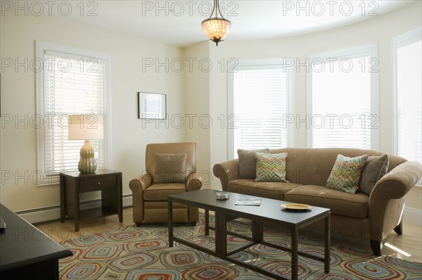 Living room with colorful area rug