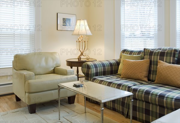 Living room with plaid sofa