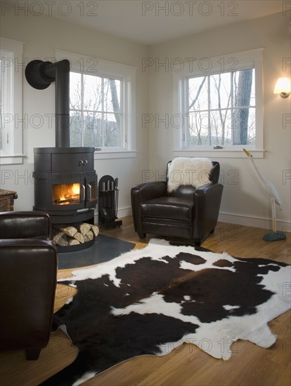 Living room with wood burning stove and animal skin rug