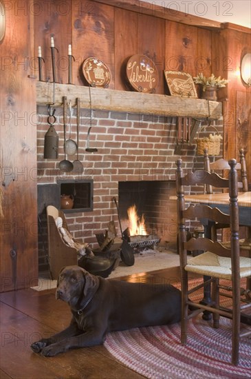 Chocolate lab on floor in colonial style dining room