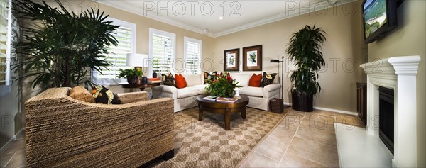 Armchair and sofa in contemporary living room