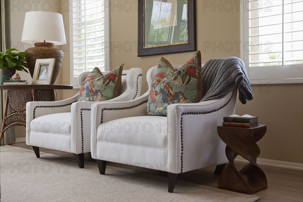 Cushions on armchairs in the living room at home