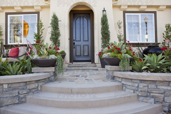 Walkway along plants leading to an arched entrance with closed brown door