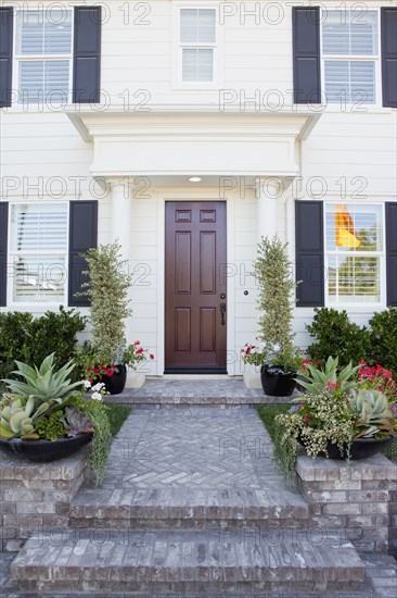 Walkway along plants leading to a house with closed brown door