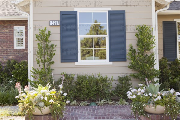 Walkway along plants with house window