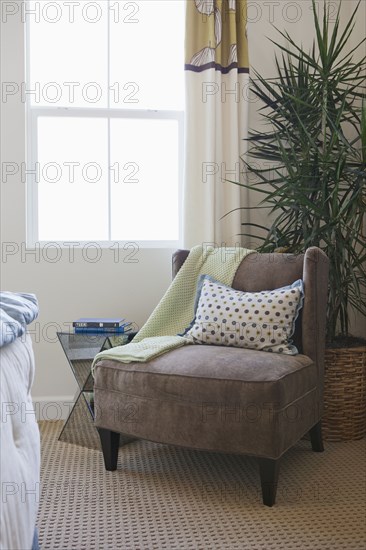 Armchair with house plant by window at home