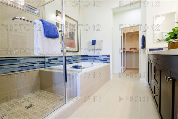 Contemporary bathroom with glass shower and bath at home