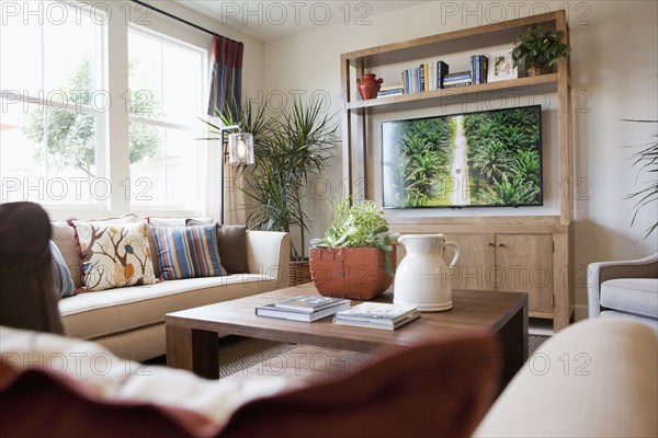 Seating furniture with flat screen television in the living room