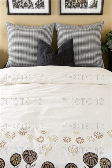 Duvet and pillows on bed