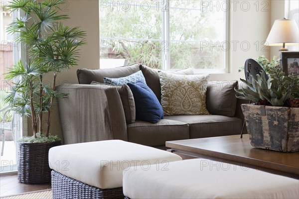 Interior of living room