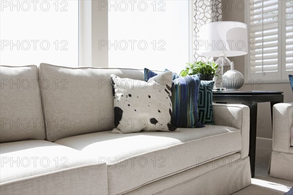 Cushions arranged on sofa in living room