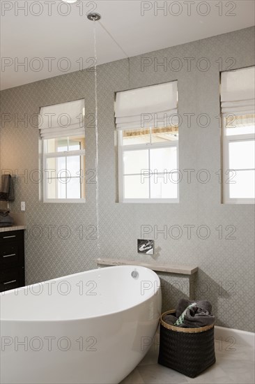 Free standing bathtub in contemporary bathroom