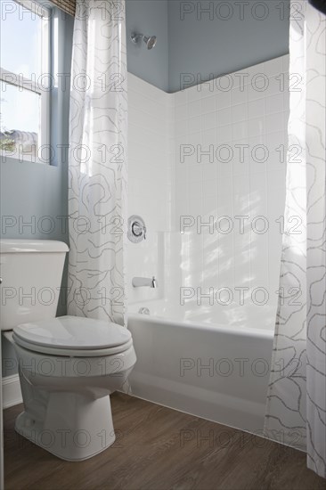 Toilet seat and bathtub in domestic bathroom