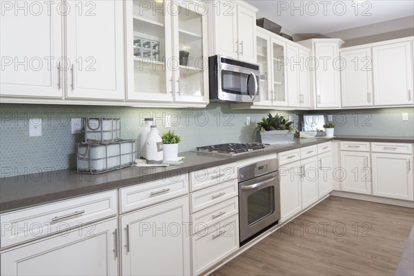 Interior of domestic kitchen