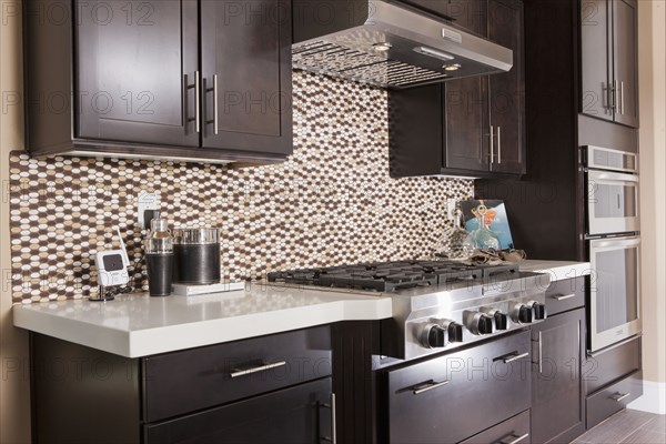 Domestic kitchen with wooden cabinets