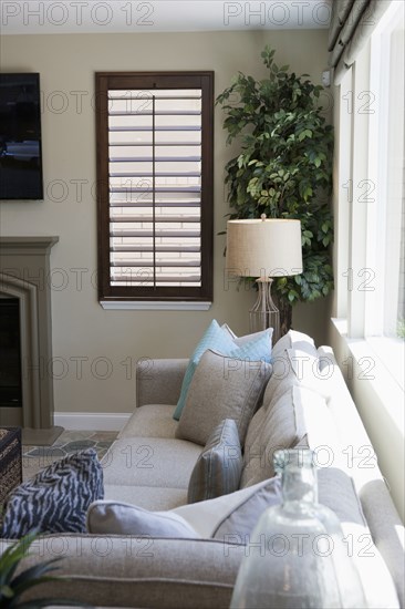 Cushions on sofa in seating area