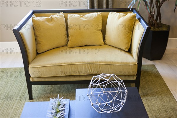 Yellow colored cushions and sofa in living room