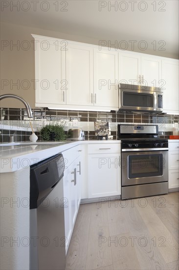 Interior of domestic kitchen