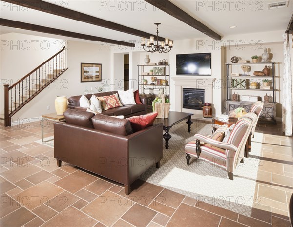 Living room interior