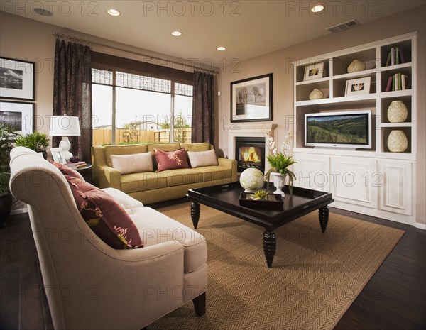 Living room in traditional home