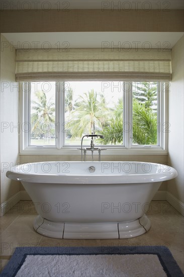 Modern bathtub with detachable shower head in front of window