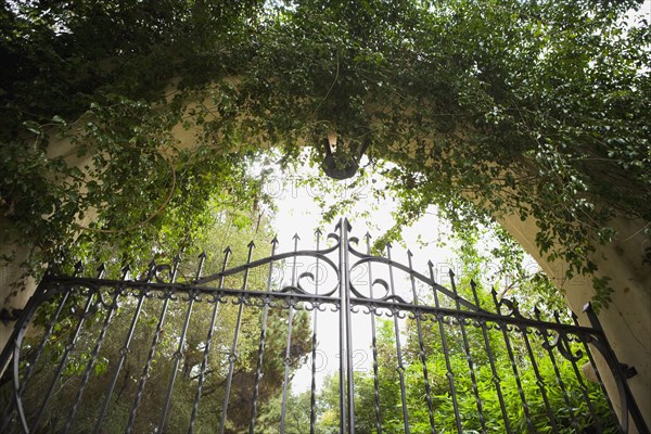 Detail lantern hanging above wrought iron gate