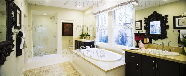 Large bathtub in contemporary bathroom