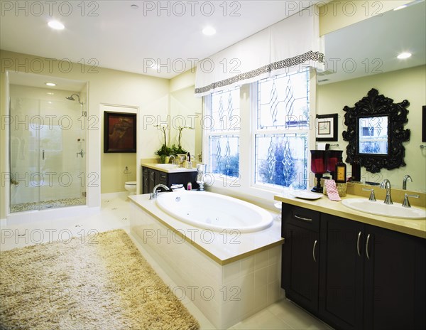 Large bathtub in contemporary bathroom