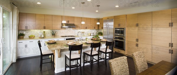 Contemporary kitchen with bamboo cabinets