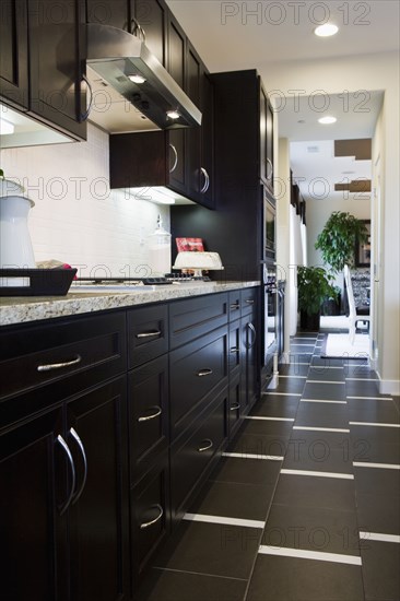 Vinyl floor in contemporary kitchen