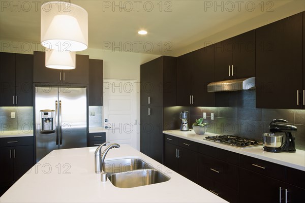 Double sink in kitchen island in contemporary kitchen