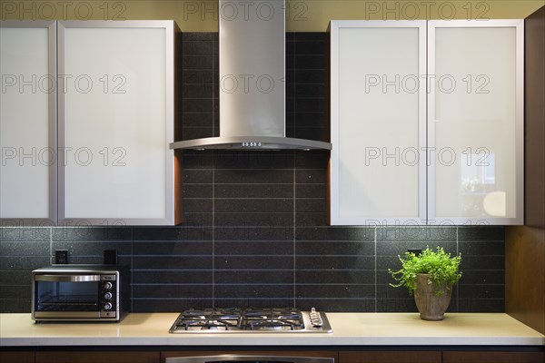 Range and hood in contemporary kitchen