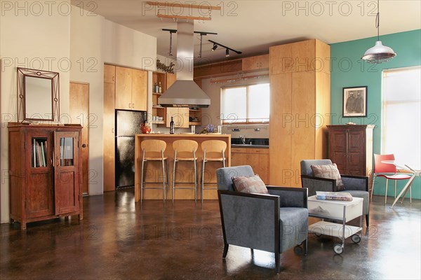 Contemporary kitchen and living room in loft apartment