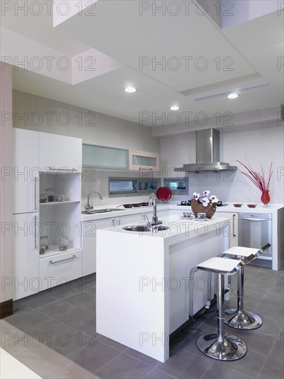 Modern Kitchen with island