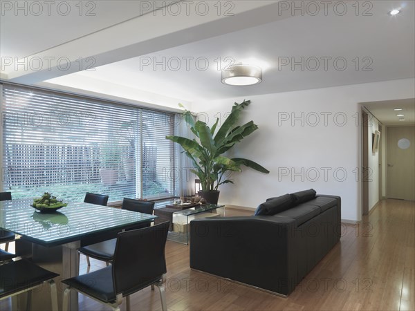 Modern dining room and living room