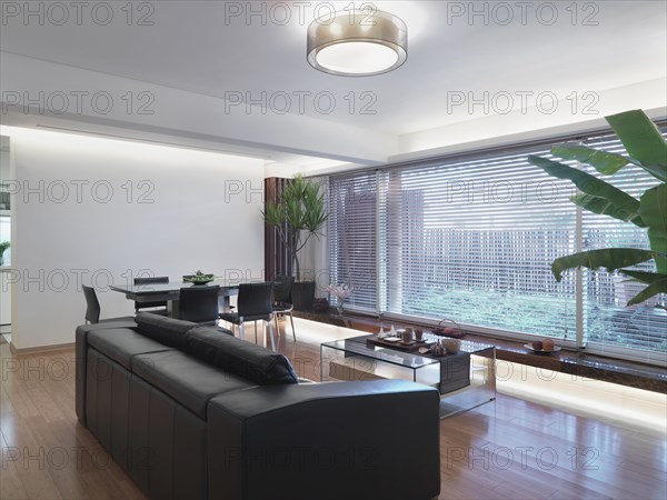 Modern dining room and living room