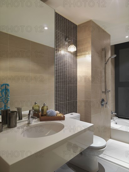 Modern bathroom