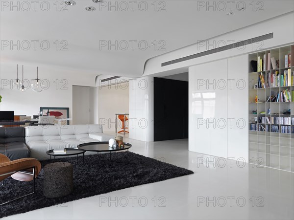 Large modern living room with black shag rug