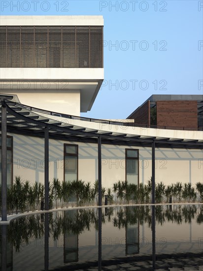 Reflecting pool lined with palm trees outside modern building