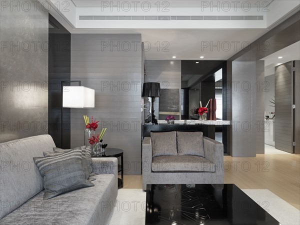 Modern living room with gray furnishings