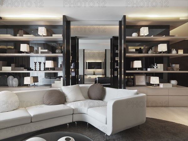 Modern living room with bookcases