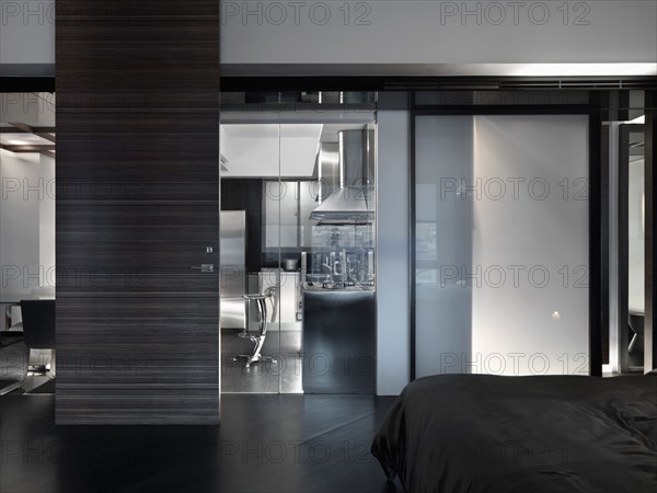 Modern interior with floor to ceiling door